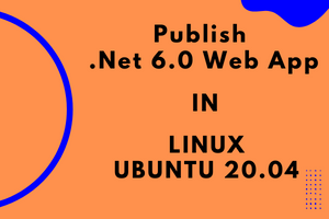 Pranshi Infosoft - Publish .Net 6.0 Web App