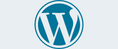 Pranshi Infosoft Expertise - Wordpress