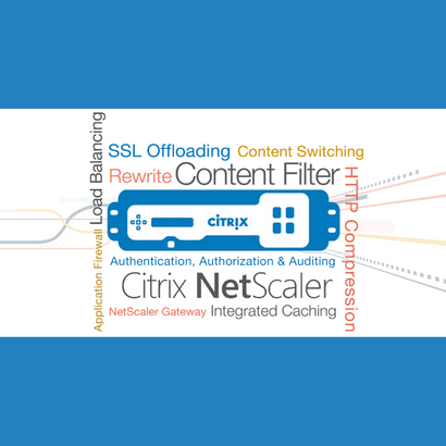 Pranshi Infosoft Portfolio - Citrix NetScaler Programming