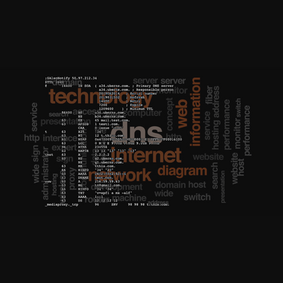 Pranshi Infosoft Portfolio - DNS Configuration Programming